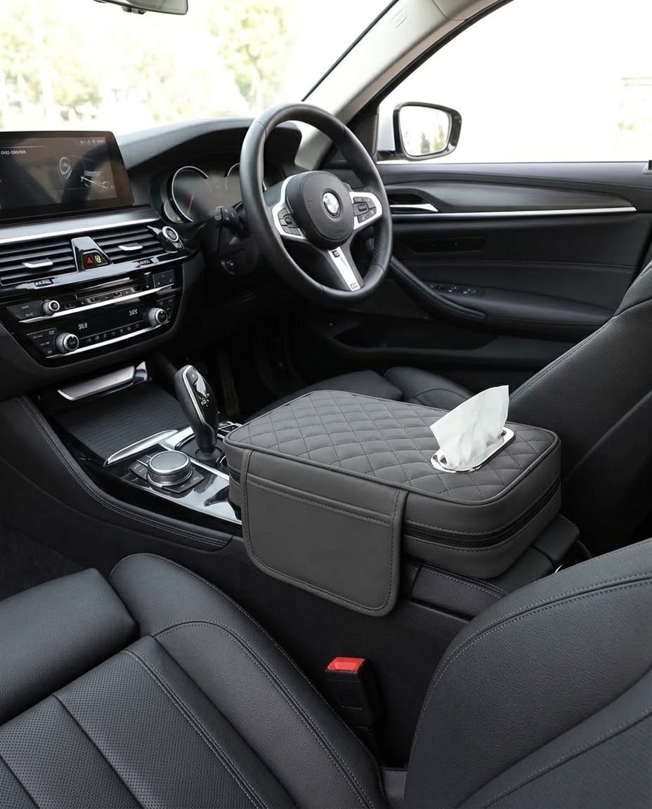Organizer Car 3